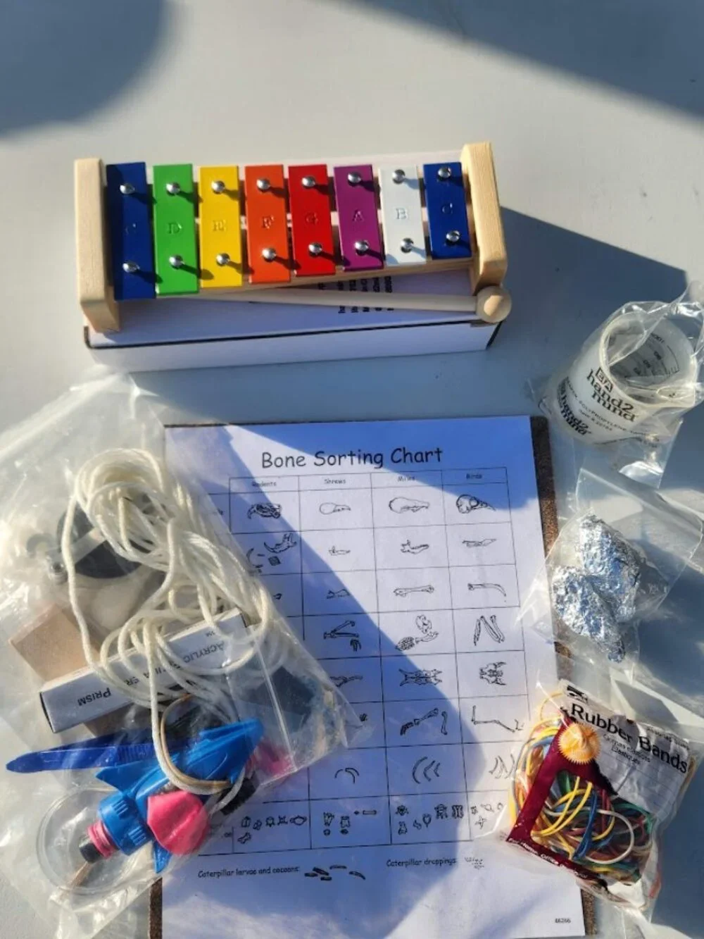 Nancy Larson Science 2 Homeschool Curriculum Kit School Classroom Supplies Educa